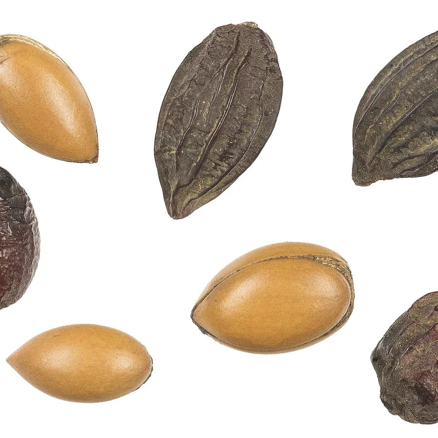 Huile d'argan