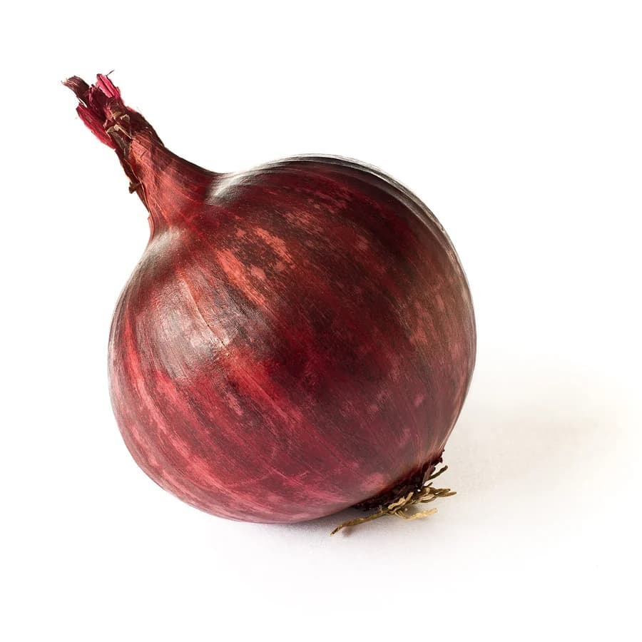 Oignon